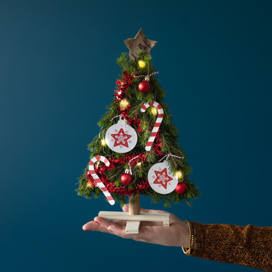 Kerstboom Warm December